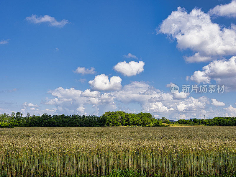 阿尔卑斯山全景