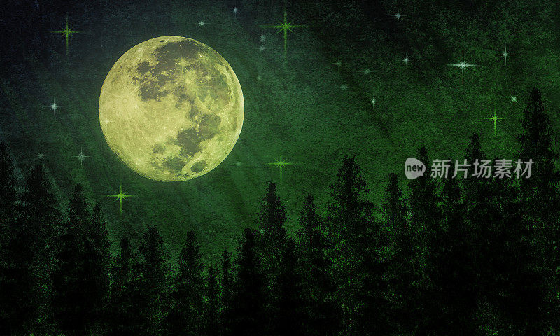 超级月亮-幻想满月和常绿森林-大气的心情