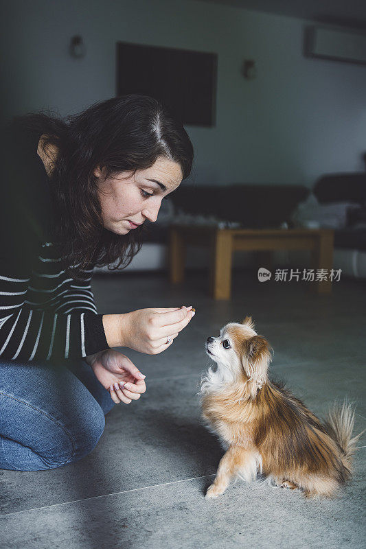 一个女人带着一只吉娃娃狗在客厅里