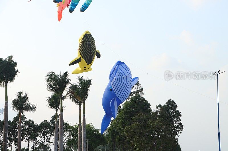 五颜六色的气球鱼风筝在蓝色的天空在越南阳光明媚的夏日。