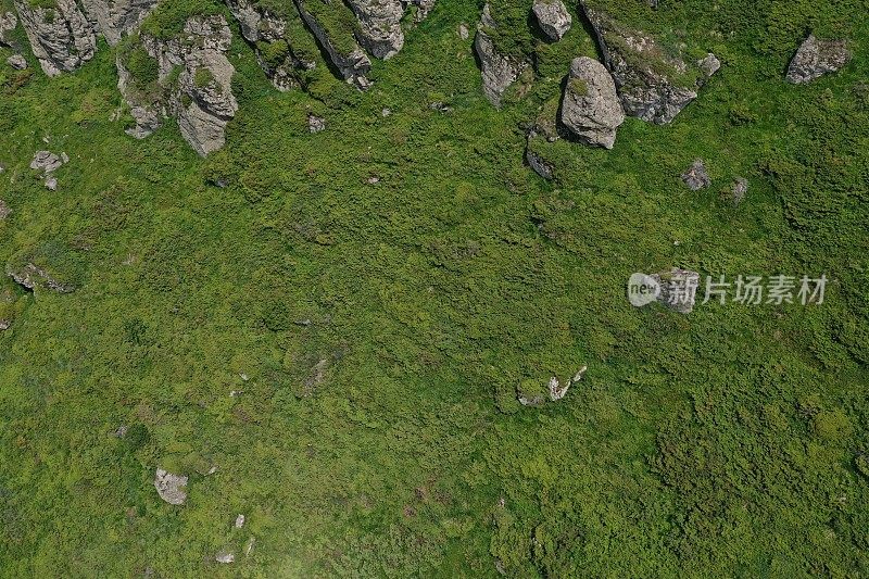 无人机拍摄的落基山和普通杜松丛
