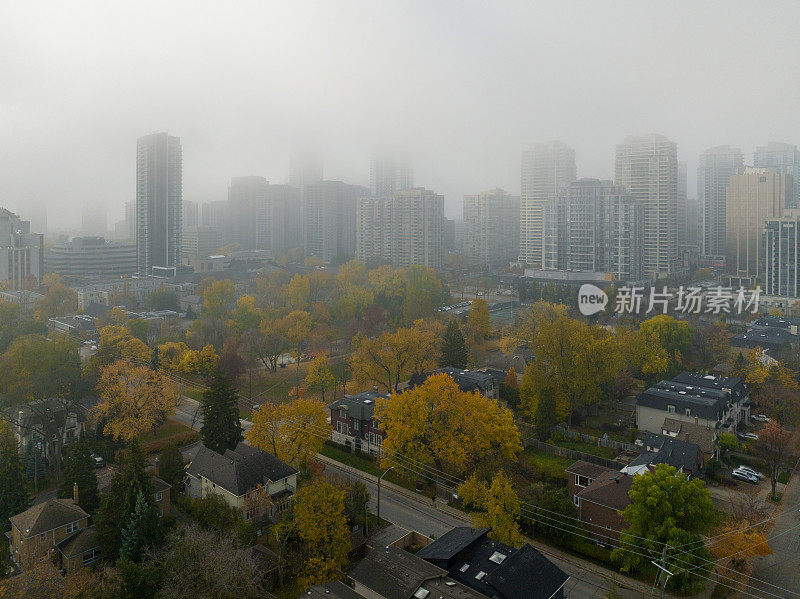 鸟瞰北约克的公园和住宅区，多伦多，加拿大，雾蒙蒙的早晨