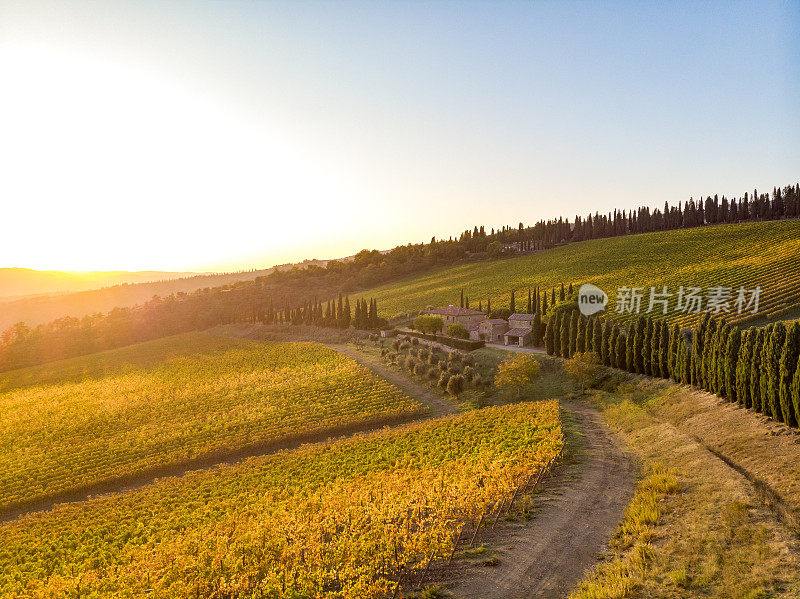 葡萄园景观在托斯卡纳，基安蒂地区