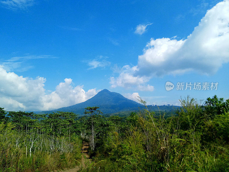 田野和日出