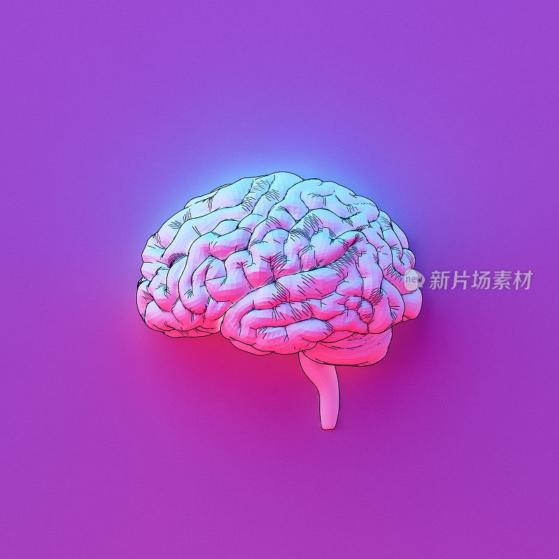 大脑-概念