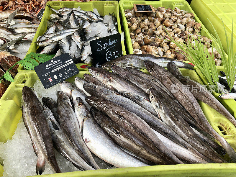 法国海鲜市场摊位上的鳕鱼、沙丁鱼和海螺