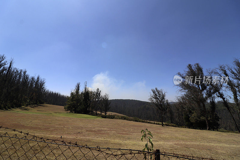 印度泰米尔纳德邦乌蒂山谷晴朗天空下的风景。