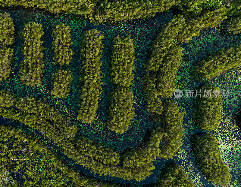 龙安省潭腊湿地生态旅游区航拍照片