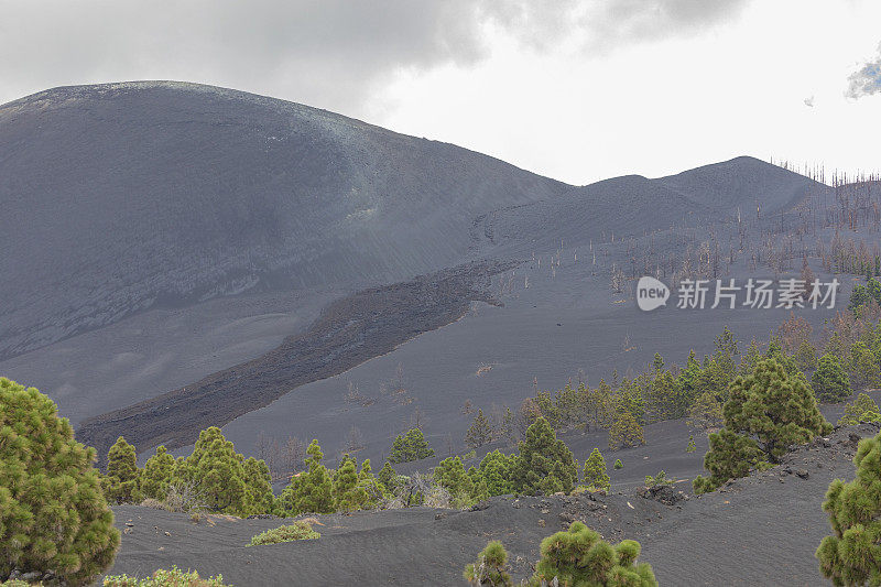 康伯雷别哈火山。火山灰覆盖了埃尔帕索村。