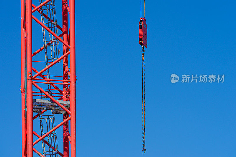 红鹤和钩子的特写，映衬着蔚蓝的天空