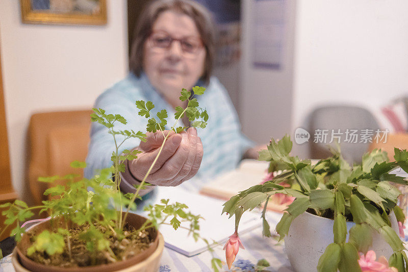 高年级女生在读一本关于室内植物的书