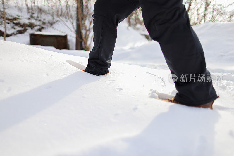 在雪中漫步