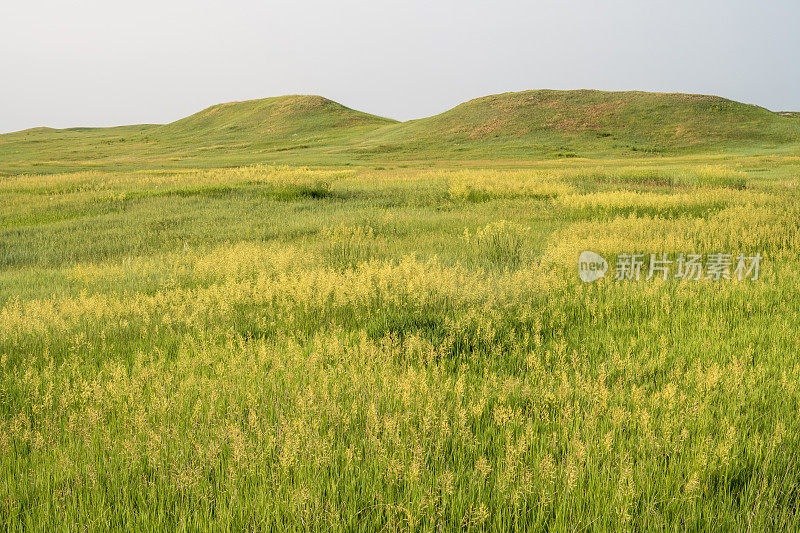 荒地国家公园夏季的草原