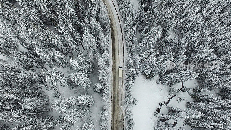 森林里的雪道和汽车
