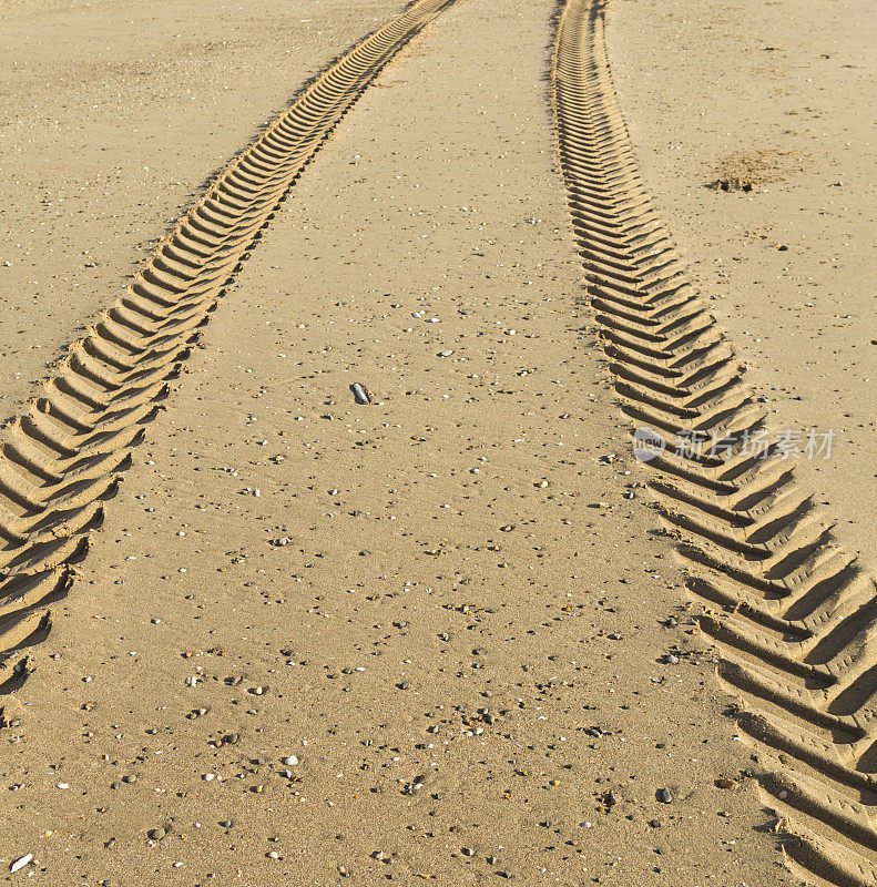 沙地上的轮胎痕迹