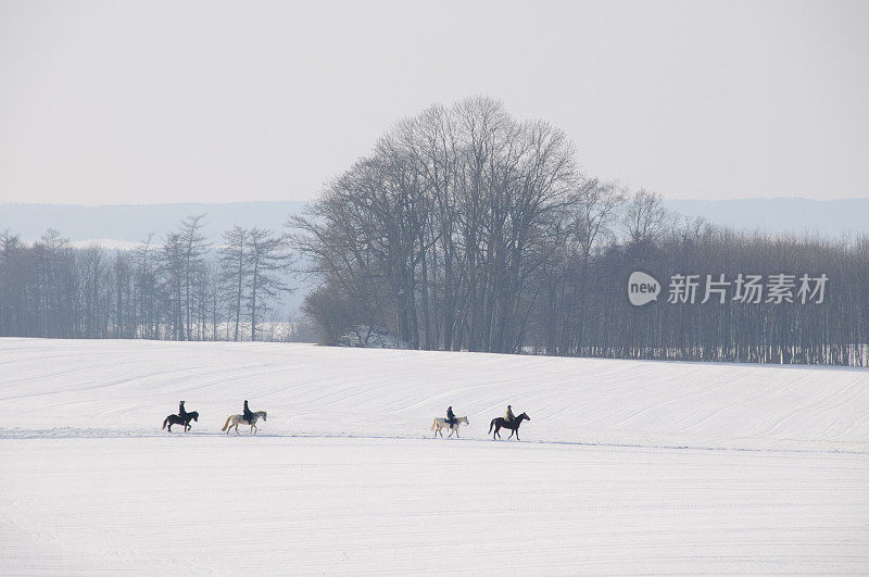 雪中骑行