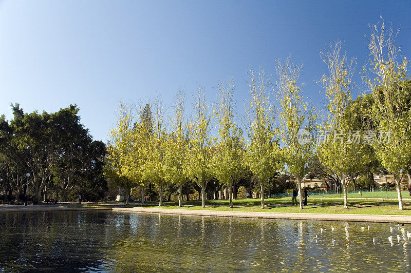悉尼海德公园