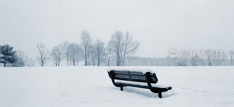 暴风雪中的长凳