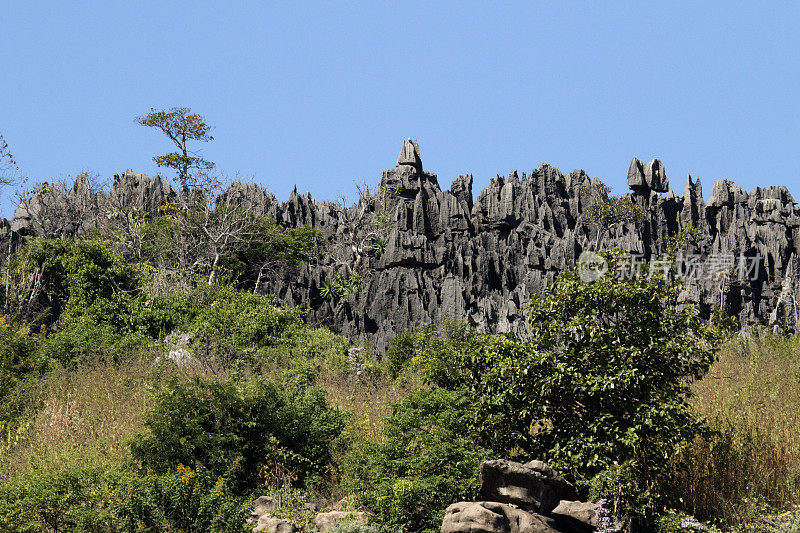 石灰岩喀斯特清澈的岩层，马达加斯加安卡拉那保护区