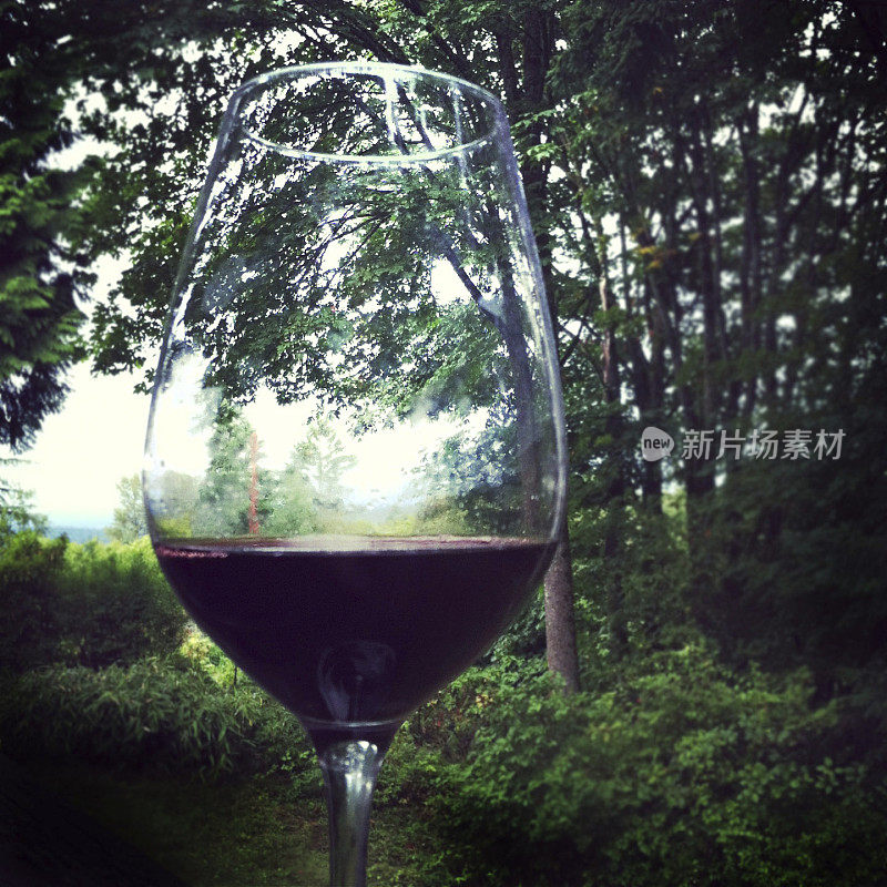 一杯森林背景的葡萄酒