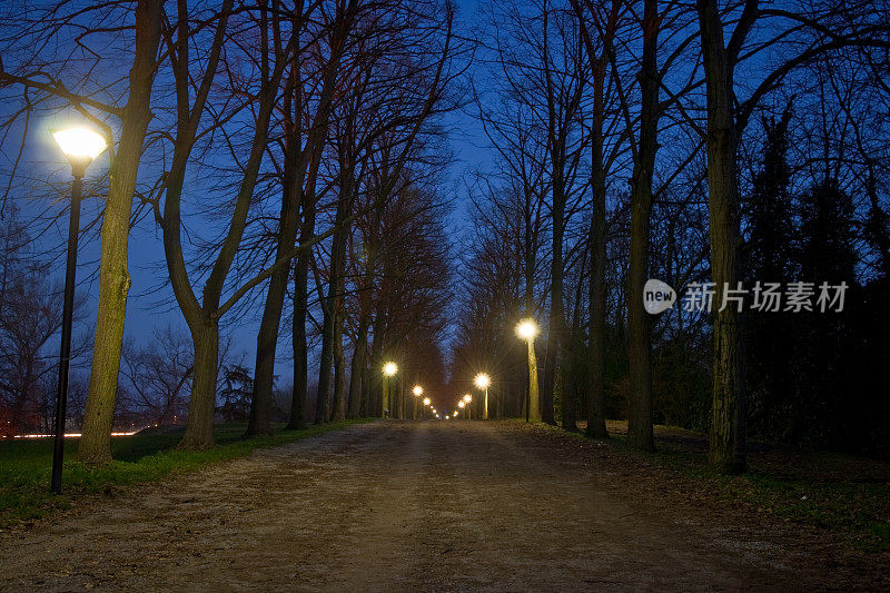 乡间道路夜间