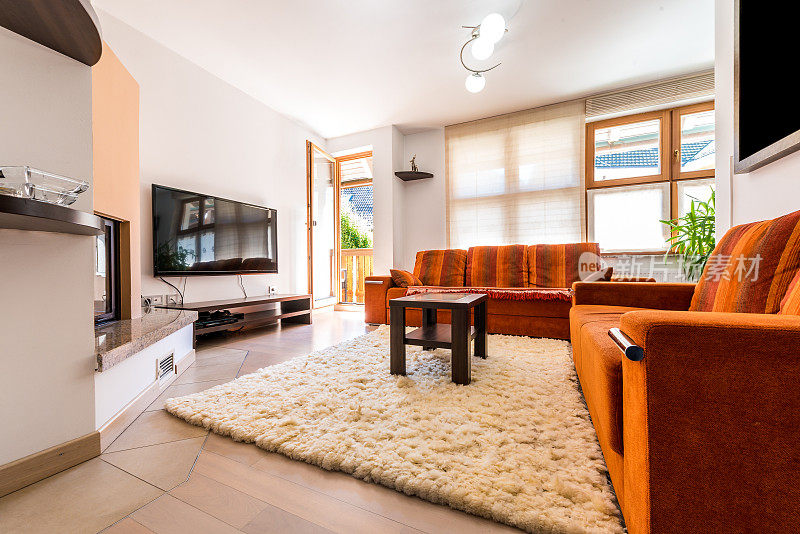 现代公寓客厅沙发和扶手椅。
