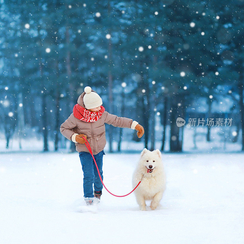 一个十几岁的男孩和一只白色的萨摩耶狗在雪地里奔跑