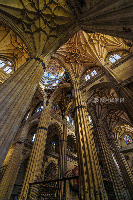 西班牙萨拉曼卡新大教堂的柱子