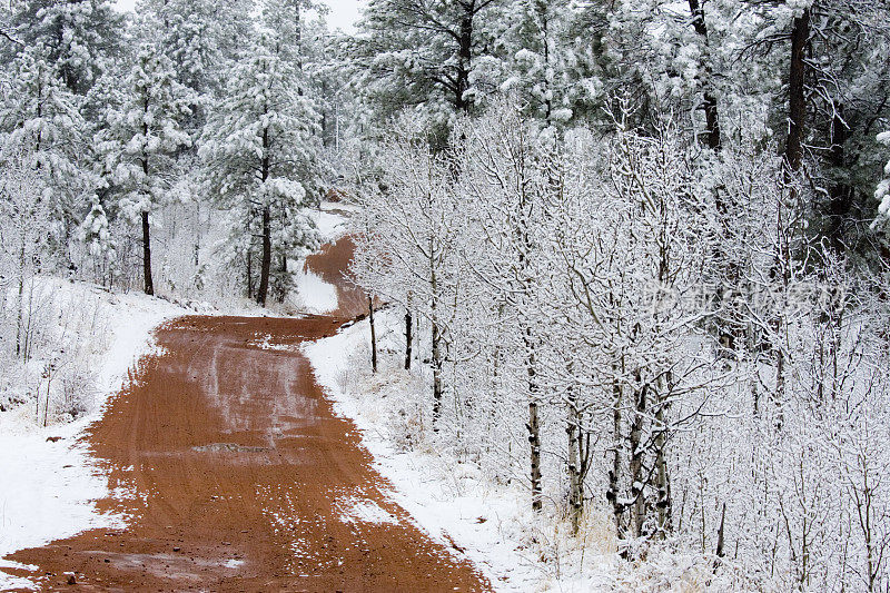 雪派克森林