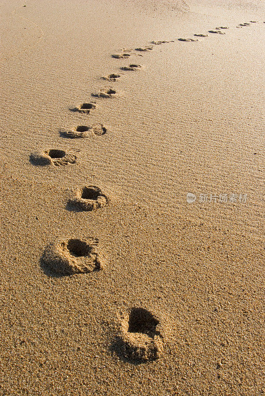 孤独的游客沙漠海滩