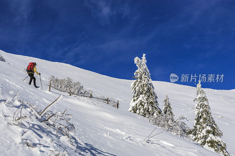 冬天在巴尔多山徒步旅行