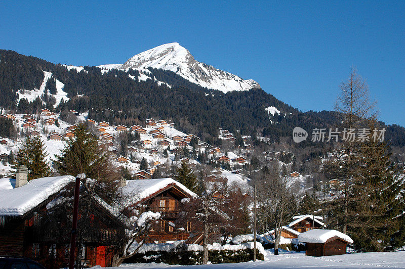 高山村庄