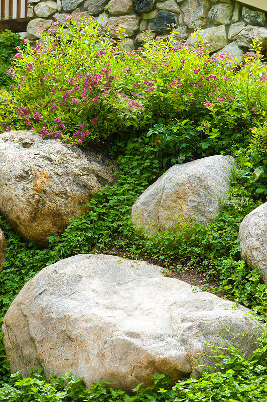 岩石巨石和粉红色的花家景观