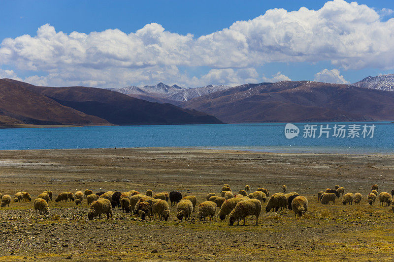 西藏景观，西藏，中国。