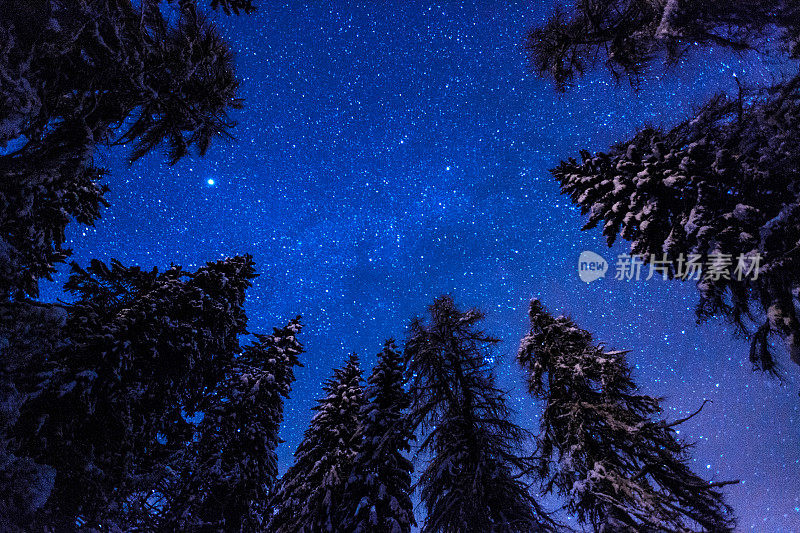 银河的夜空和白雪覆盖的树木