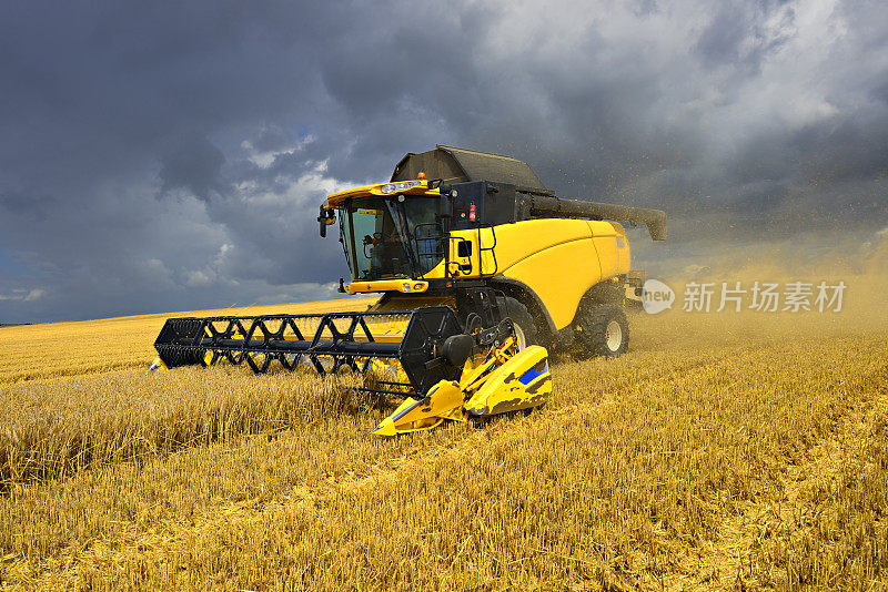 在暴风雨的天空下，麦田里的联合收割机在收割大麦
