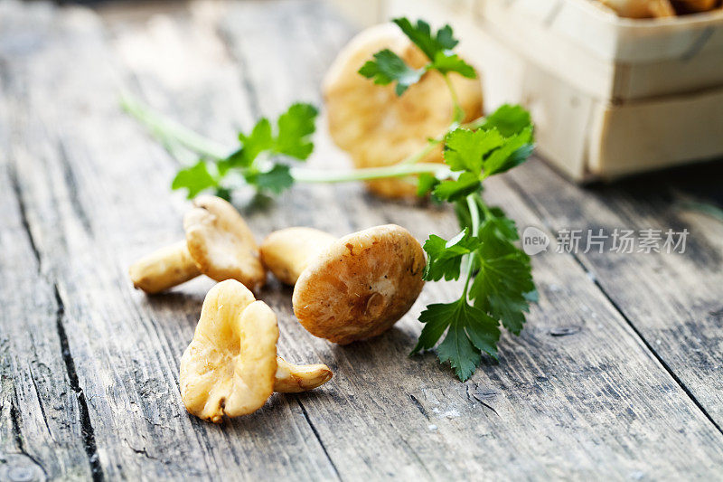 鸡油菌和欧芹