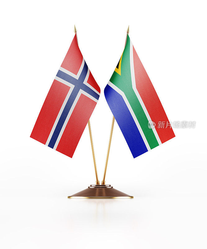 挪威和南非的微型国旗
