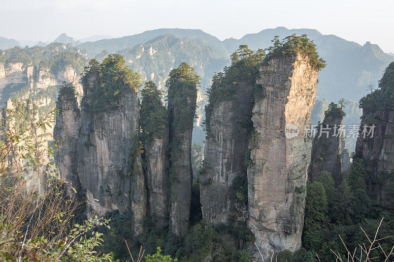 砂岩柱，张家界国家森林公园，中国