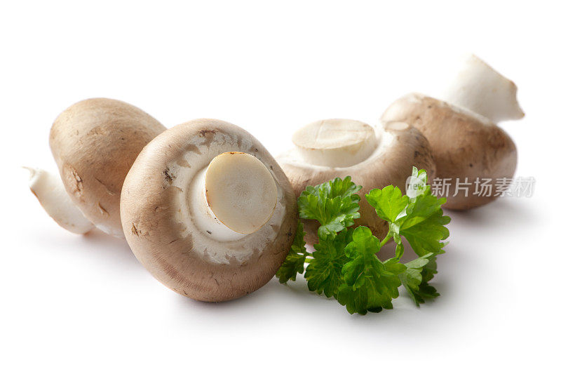 蘑菇:小香菇和欧芹分离在白色背景上