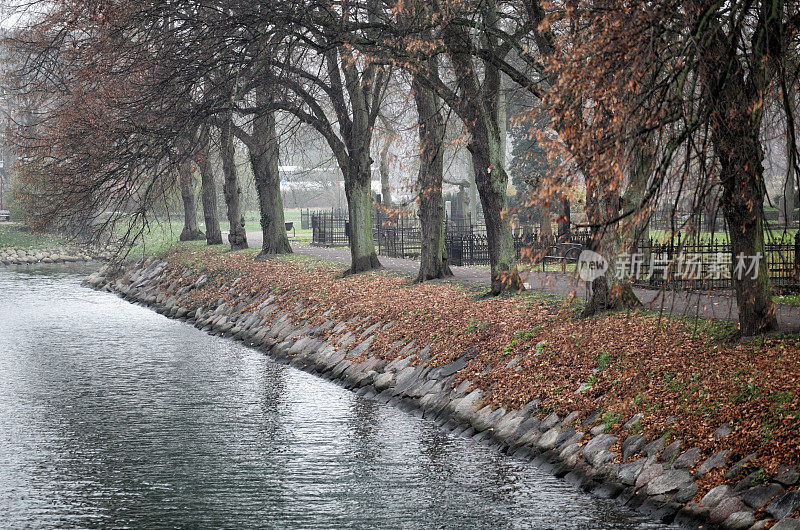 秋天的树木旁边的运河