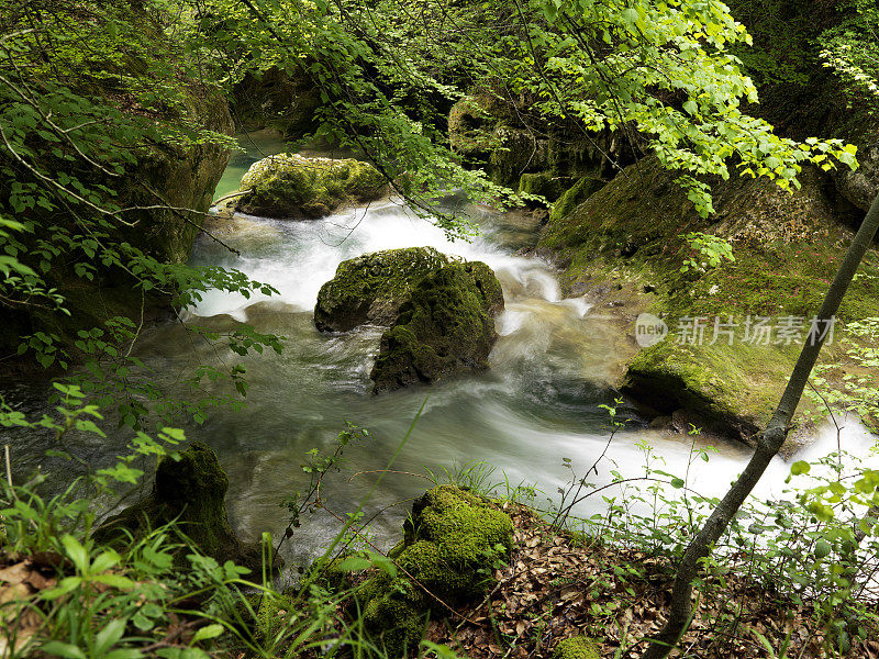 萨拉查河河水缓慢流动