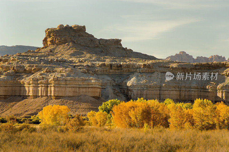 秋天的颜色，峡谷地国家公园，犹他州