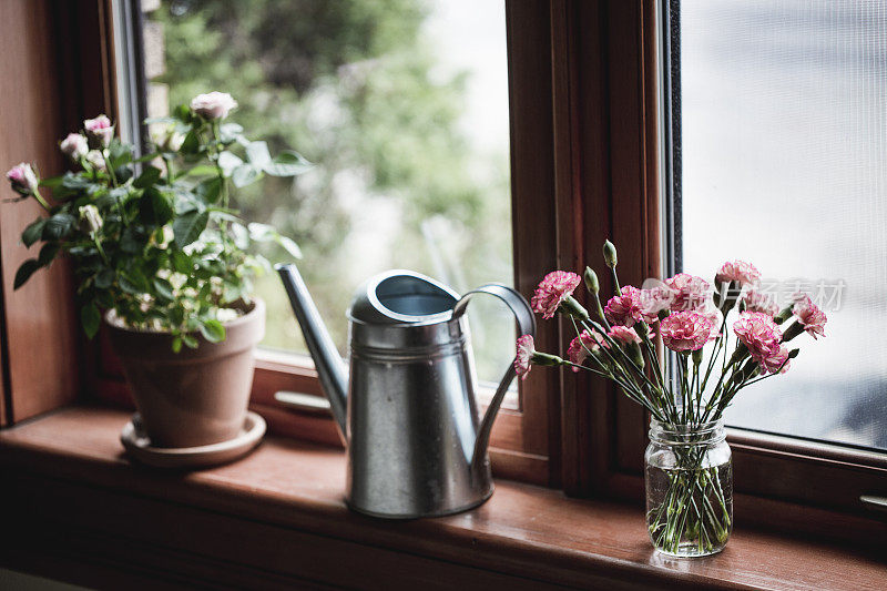 家的时刻——窗边有花和喷壶