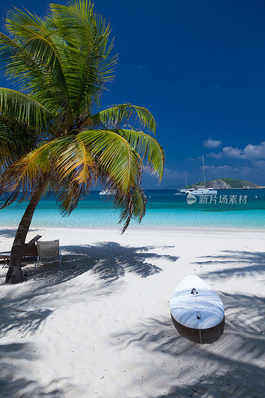 在美丽的热带海滩上，棕榈树下的躺椅