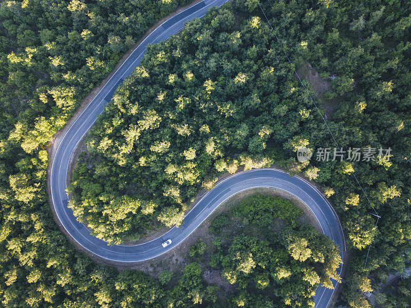 公路旅行通过森林-空中的观点