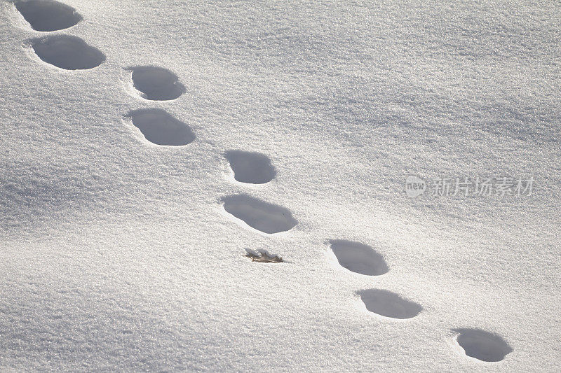 脚步在雪地