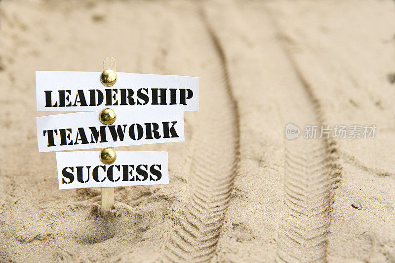 领导力、团队精神和成功