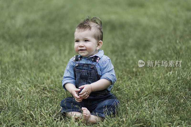 一个坐在草地上的男婴的肖像