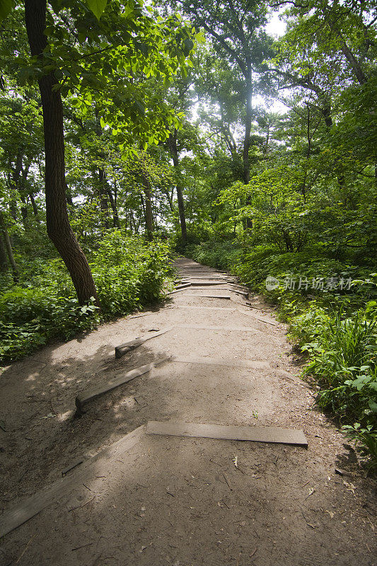 饥饿岩石州立公园的步道